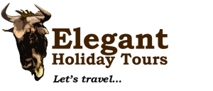 ELEGANT H LOGO II