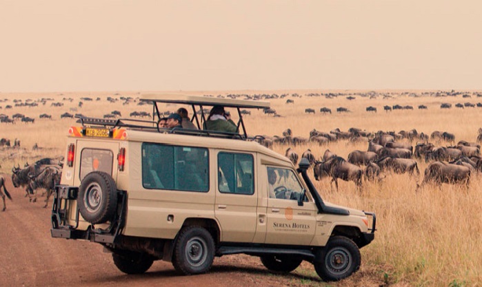 gamedrive vehicles kenya