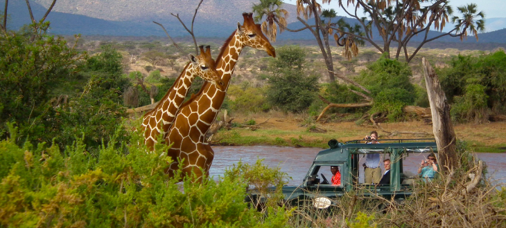 Shaba-national-reserve-Samburu