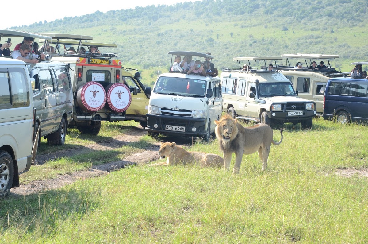 Tour-cars-mara